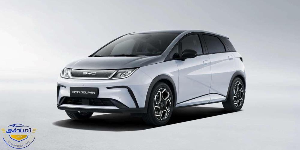 بی‌وای‌دی دلفین 